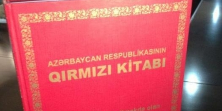 “Qırmızı kitab”ın III nəşrinin hazırlanması ilə bağlı elmi tədqiqatlar başa çatdırılıb