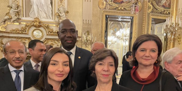 Leyla Abdullayeva Fransanın xarici işlər naziri ilə görüşüb