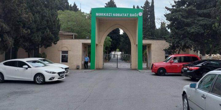 BŞİH: Mərkəzi Nəbatət Bağında ağacların sayının azaldılması ilə bağlı yayılan məlumatlar həqiqəti əks etdirmir