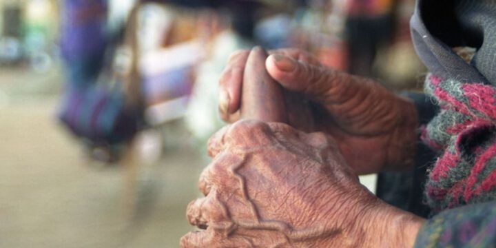 Azərbaycanda alimlərin uzunömürlü olmalarının səbəbləri araşdırılacaq