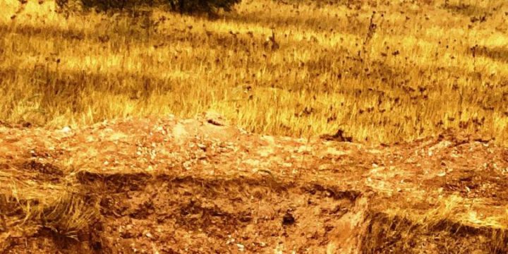 Xocavəndin Ərəkül kəndində orta əsrlərə aid müsəlman qəbiristanlığı tapılıb