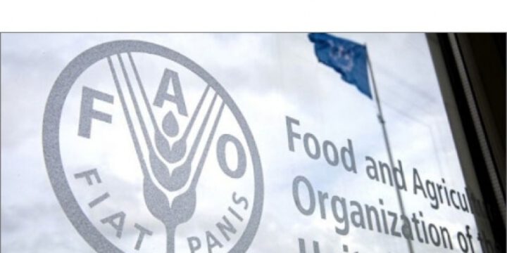 FAO: Zəlzələlərdən sonra Türkiyədəki fermerlərin 25 milyon dollar yardıma ehtiyacı var