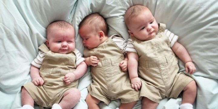 Ötən il 165 üçəm doğulub