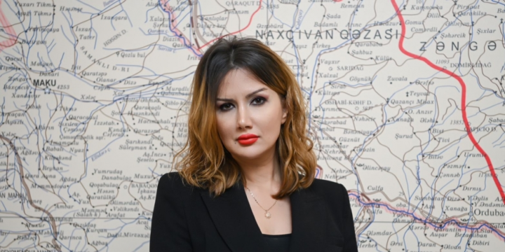 Ülviyyə Zülfiqar: Qərbi azərbaycanlıların mülkiyyət hüququnun pozulmasına görə Ermənistan məsuliyyət daşıyır