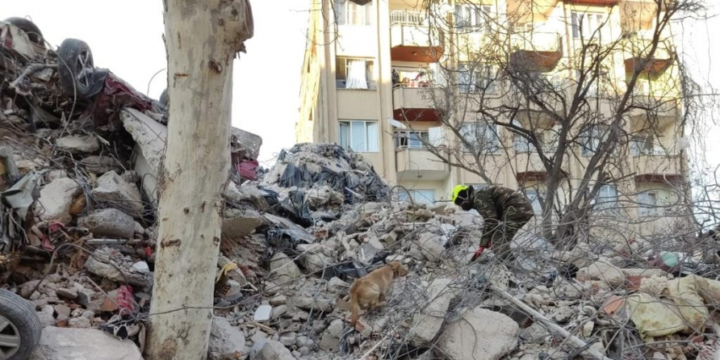 Azerbaijani rescuers pull 53 survivors from rubble in southern Türkiye