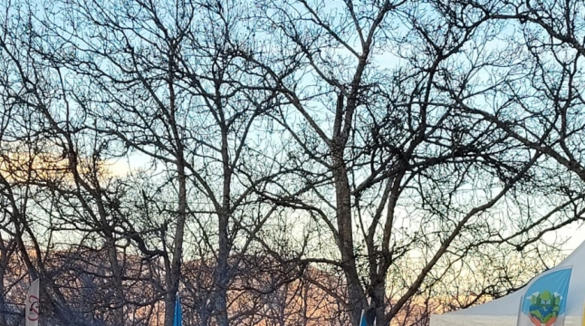 Dinc aksiyada 69-cu gün: Ekofəallar faydalı qazıntı yataqlarının qanunsuz istismarına son qoyulmasını tələb edirlər