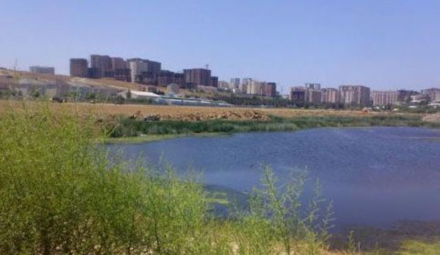 Abşeron göllərində su nümunələrinin kimyəvi və mikrobioloji təhlil nəticələri açıqlanıb