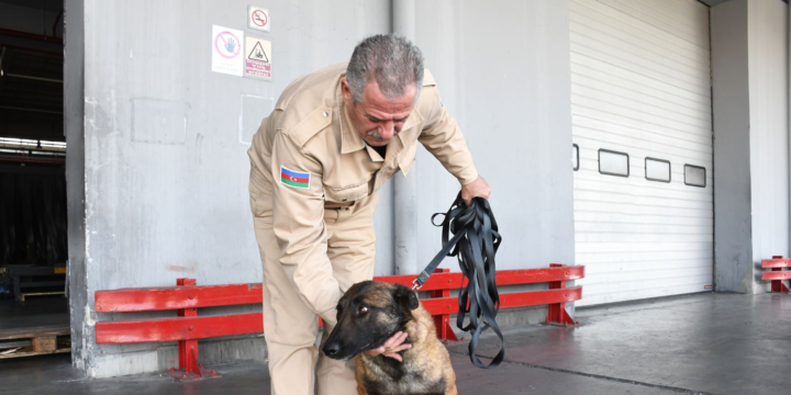 ABŞ Azərbaycana minaaxtaran itlər verib