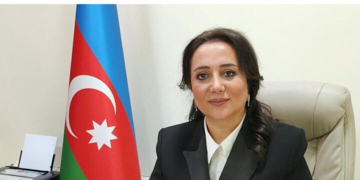 Dövlət Miqrasiya Xidmətinə mətbuat katibi təyin olunub