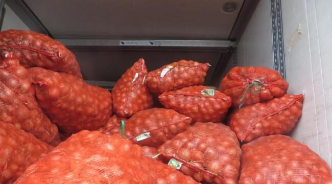 Soğanın Azərbaycandan ixrac edilməsi məhdudlaşdırılıb