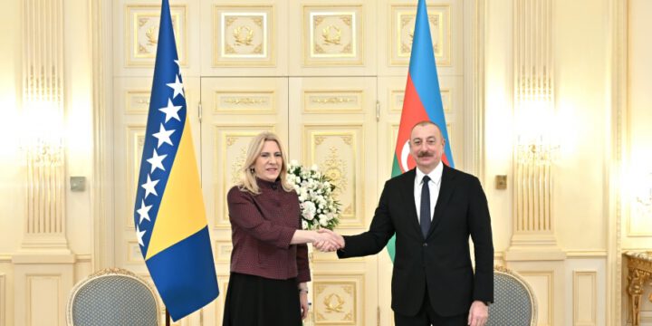 President Ilham Aliyev met with Chairwoman of Presidency of Bosnia and Herzegovina