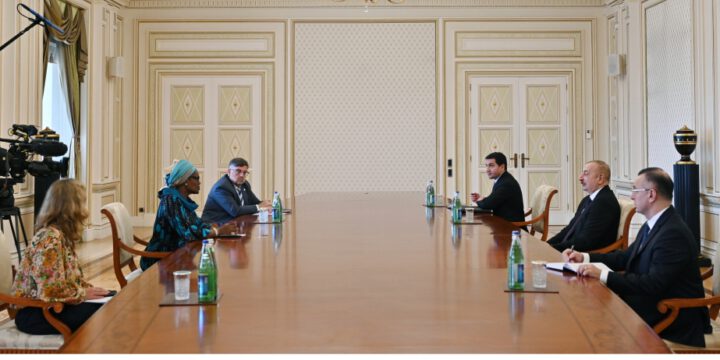 Prezident İlham Əliyev BMT-nin İİV üzrə Birgə Proqramının icraçı direktorunu qəbul edib