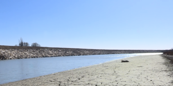 Vüqar Kərimov: Kürdə vəziyyət elə də qorxulu deyil