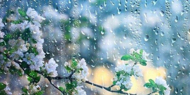 İlaxır çərşənbədə bəzi şərq rayonlarında hava yağıntılı olacaq