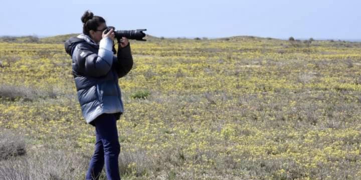 Fotoqraflar Abşeron Milli Parkında