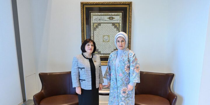 Speaker of Milli Majlis Sahiba Gafarova meets with Turkish First Lady Emine Erdogan