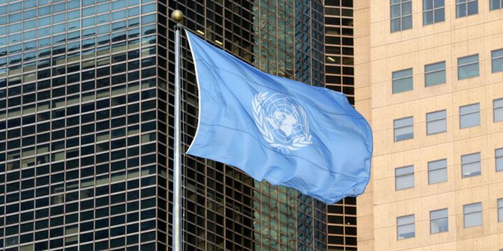 BMT minatəmizləmə fəaliyyətində Azərbaycana dəstəyini davam etdirəcək