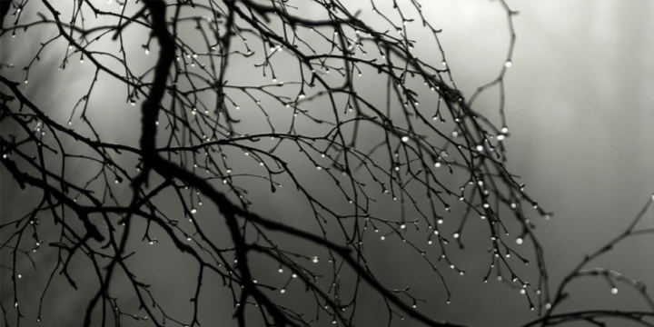 Abşeron yarımadasında hava dumanlı və çiskinli olacaq