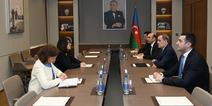 Azerbaijani FM meets with French Senate member