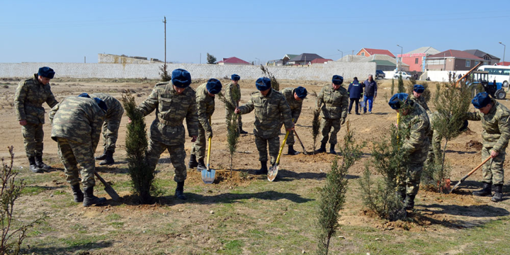 Azərbaycan Ordusunda ağacəkmə aksiyaları keçirilib