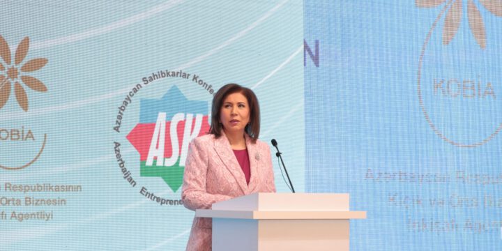 Qarabağ və Şərqi Zəngəzur iqtisadi rayonlarında biznes layihələrini icra etmək üçün 70 qadın sahibkar müraciət edib