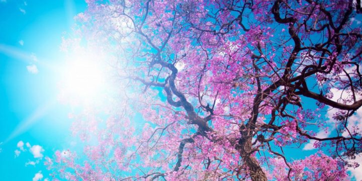 Sabah bəzi bölgələrdə 28 dərəcə isti olacaq