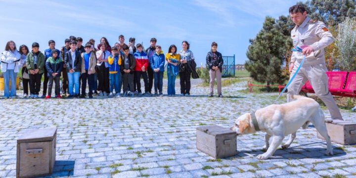 AZAL və “YAŞAT” Fondu şəhid övladları üçün ekskursiya təşkil edib