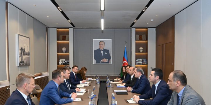 Ceyhun Bayramov Litva xarici işlər nazirinin müavini ilə görüşüb 