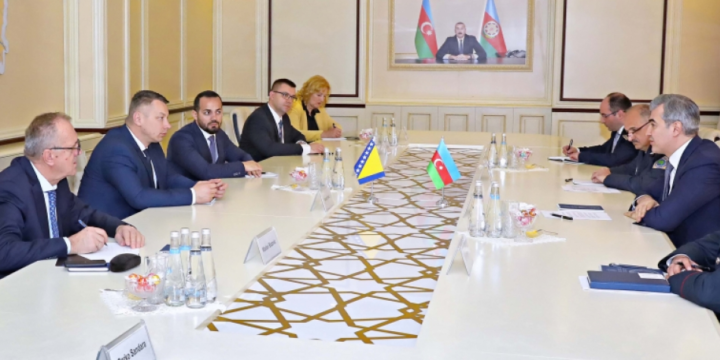 Minister of Security of Bosnia and Herzegovina: Expanding cooperation with Azerbaijan in the field of migration is an important issue