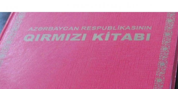 Aprelin sonunadək “Qırmızı kitab”ın üçüncü nəşri ictimaiyyətə təqdim olunacaq