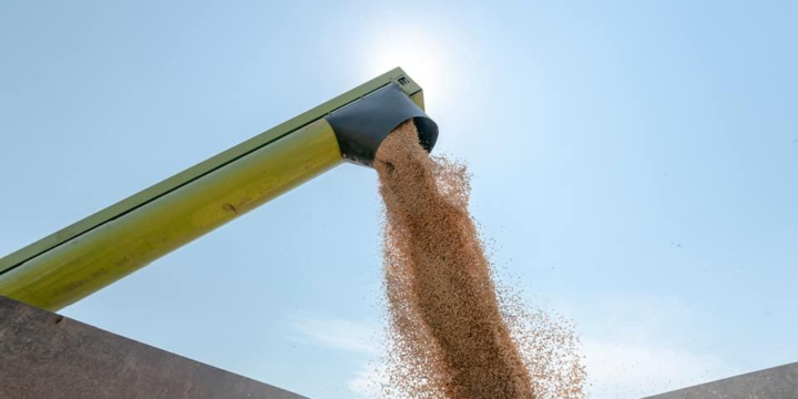 Dövlət Taxıl Fondunun saxlanması və istifadəsi qaydalarında dəyişiklik edilib