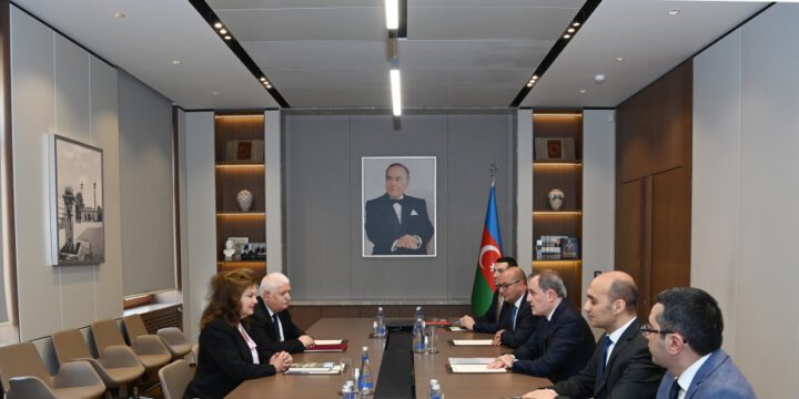 “Sülhün kökləri” təşkilatının rəhbəri Azərbaycana qarşı yaranmış mina təhdidləri barədə məlumatlandırılıb