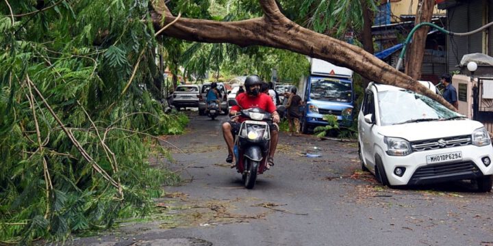 12 killed, many injured from thunderstorm in Indian western state