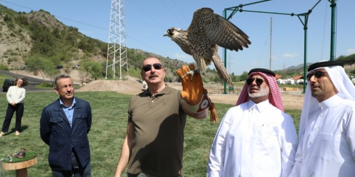 Laçın rayonunda Şərqi Qafqaz turları və şahin quşları təbiətə, müxtəlif növ balıqlar Həkəri çayına buraxılıb