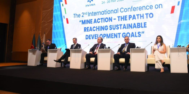 Britaniya parlamentinin üzvü: Minalar ölkələrin inkişafına ciddi maneə törədir