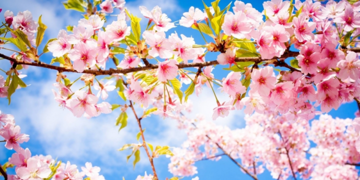 Sabah əksər rayonlarda hava əsasən yağmursuz olacaq