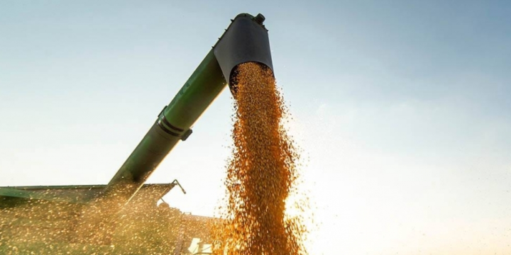 Recep Tayyip Erdogan: Grain deal prolonged by 60 days