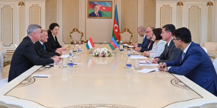 Azerbaijan, Hungary discuss expansion of cooperation in various areas