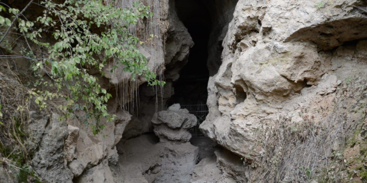 Azıx mağarasında tədqiqat aparılması üçün işçi qrup yaradılıb