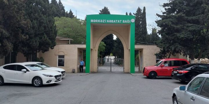 Mərkəzi Nəbatət Bağında amfiteatr inşa ediləcək
