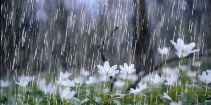 Qeyri-sabit, yağıntılı hava şəraiti iyunun 3-ü gündüzədək davam edəcək