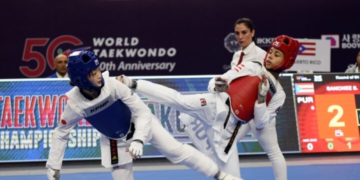 Bakıda keçirilən dünya çempionatında 24 ölkədən taekvondoçular mükafatçılar sırasında yer alıblar