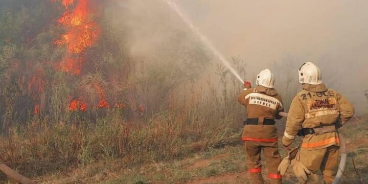 Death toll from wildfires in east Kazakhstan rises to 14