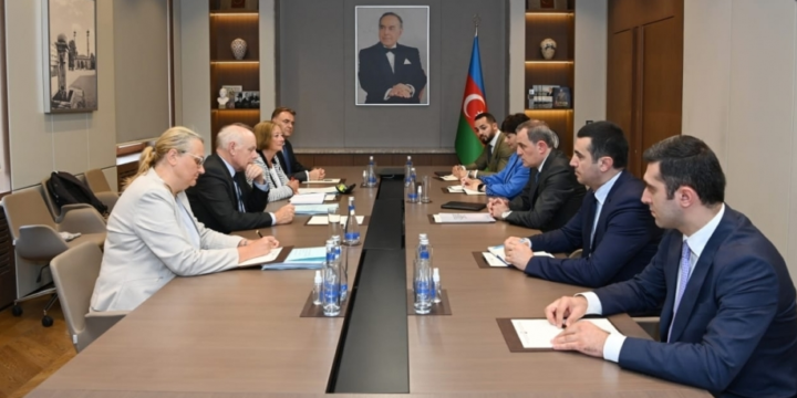 Azerbaijani FM informs PACE monitoring co-rapporteurs about current situation in the region