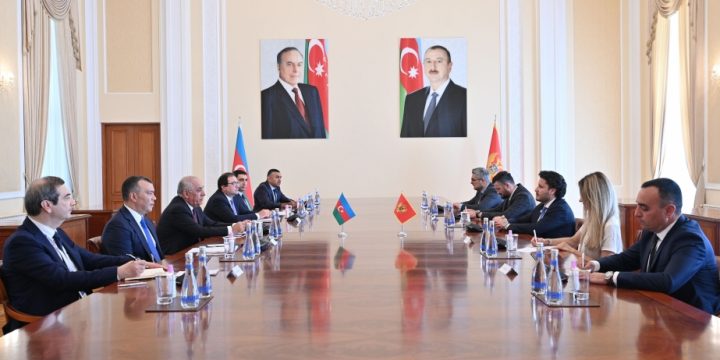 Azərbaycanın Baş naziri monteneqrolu həmkarı ilə görüşüb
