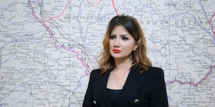 Ülviyyə Zülfiqar: Qərbi Azərbaycan İcması beynəlxalq miqyasda etibarlı tərəfdaş kimi qəbul olunmaqdadır