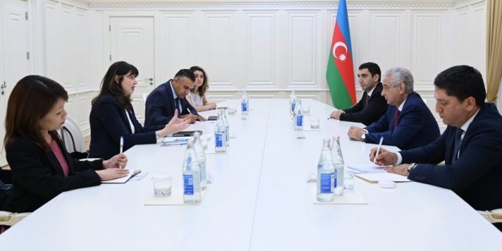 Azerbaijan`s Deputy Prime Minister meets with UN Resident Coordinator in Azerbaijan