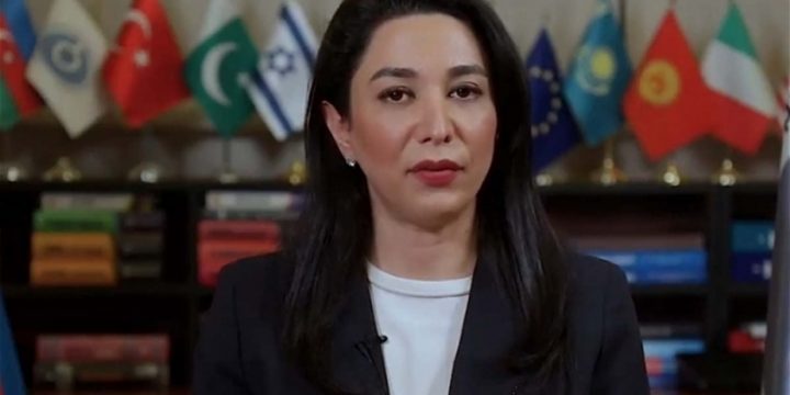 Ombudsman: Armenia does not fulfill its obligations under international conventions on environment