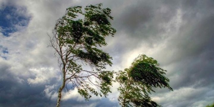 Bakıda və Abşeron yarımadasında şimal-qərb küləyi saniyədə 28-32 metrədək güclənib