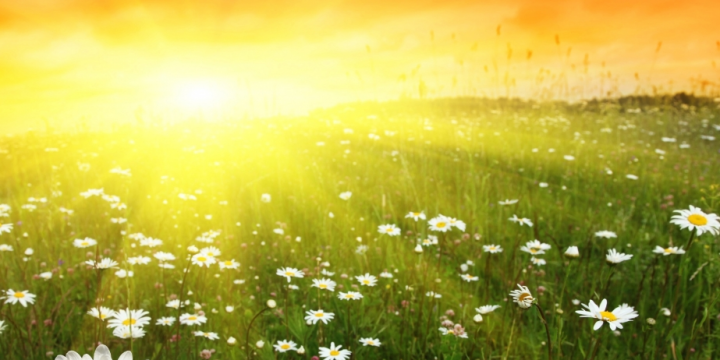 Bölgələrdə havanın temperaturu 39 dərəcəyədək yüksələcək